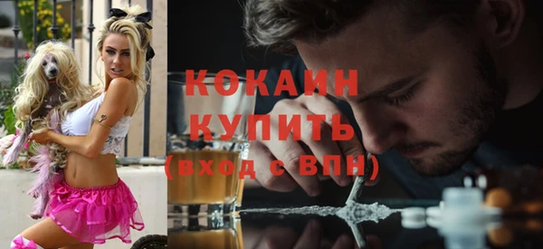 крисы Инта