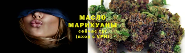крисы Инта