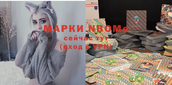 крисы Инта