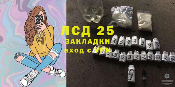 крисы Инта