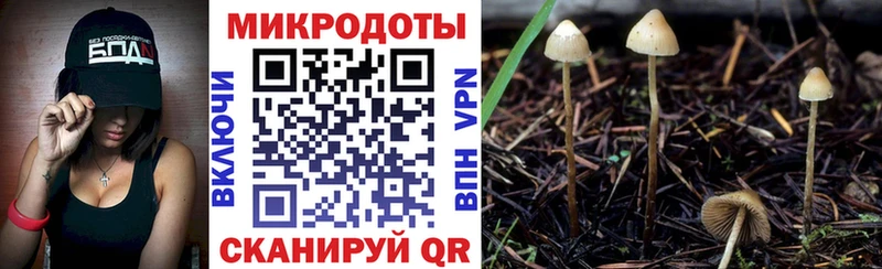 Купить закладки  Заозёрный  Галлюциногенные грибы мухоморы 