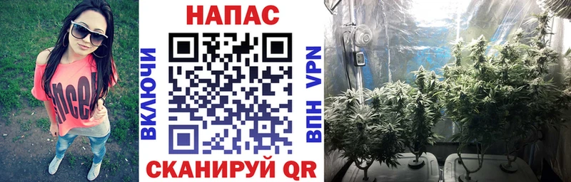 Купить  Заозёрный  МАРИХУАНА ГИДРОПОН 